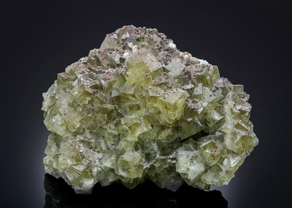 CC13922 specimen image