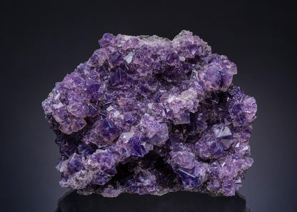 CC13925 specimen image