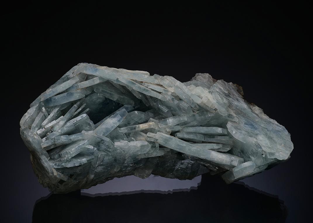 CC13928 specimen image