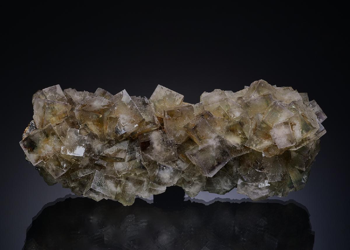 CC13931 specimen image