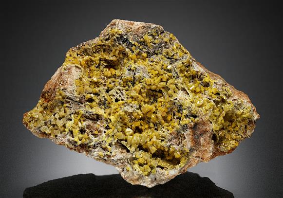 CC13932 specimen image