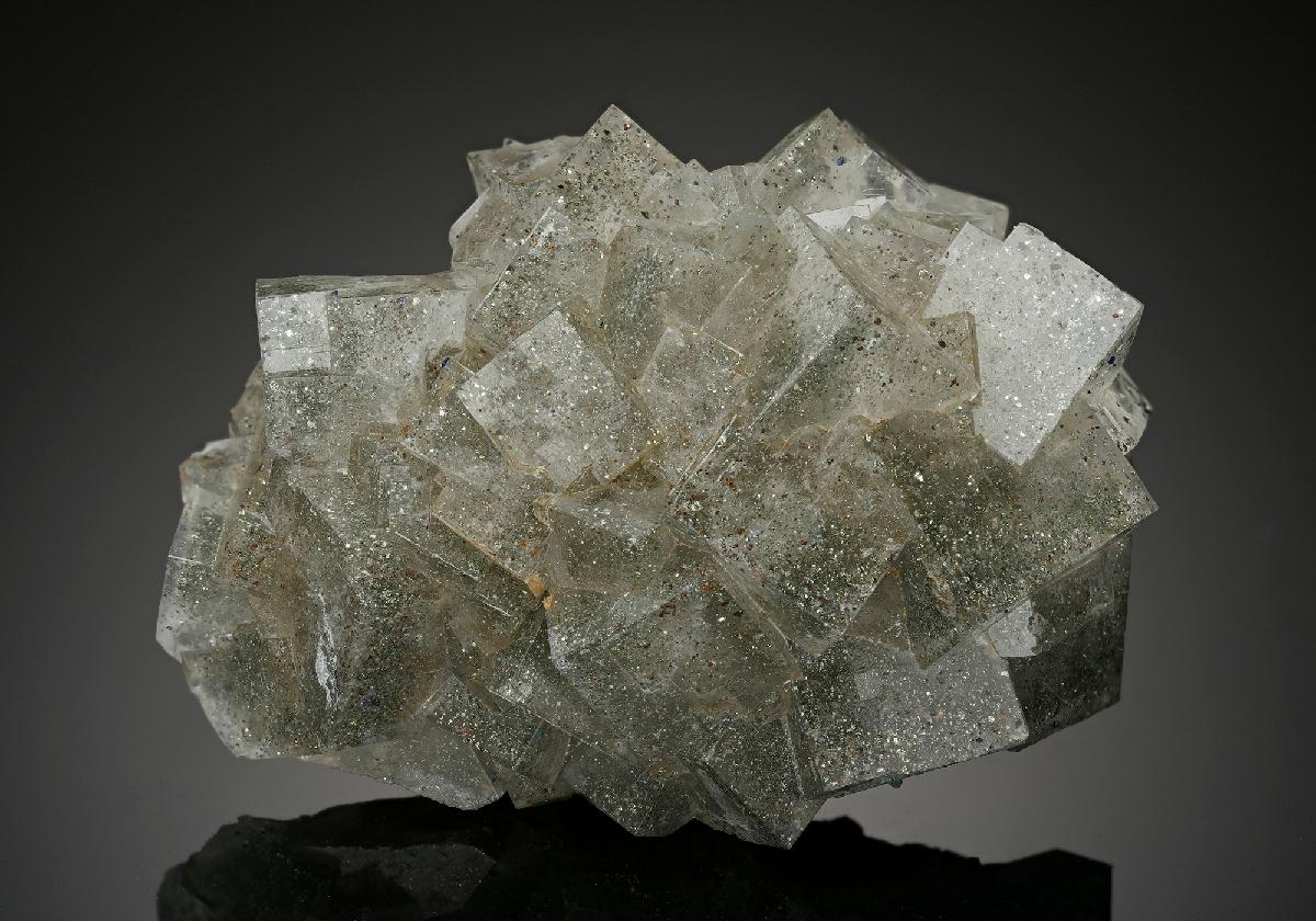 CC13941 specimen image