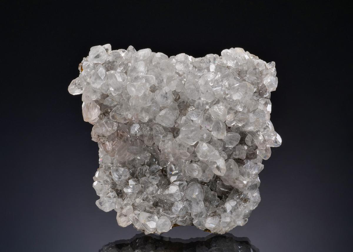 CC13959 specimen image