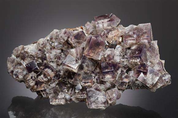 CC13960 specimen image