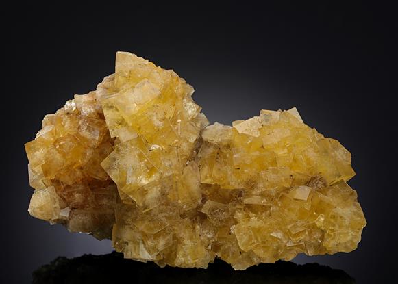 CC13961 specimen image