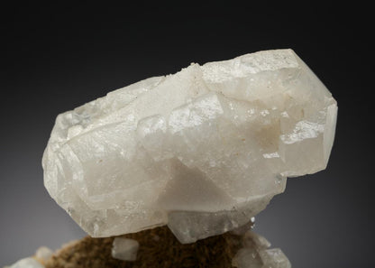 CC13962 specimen image