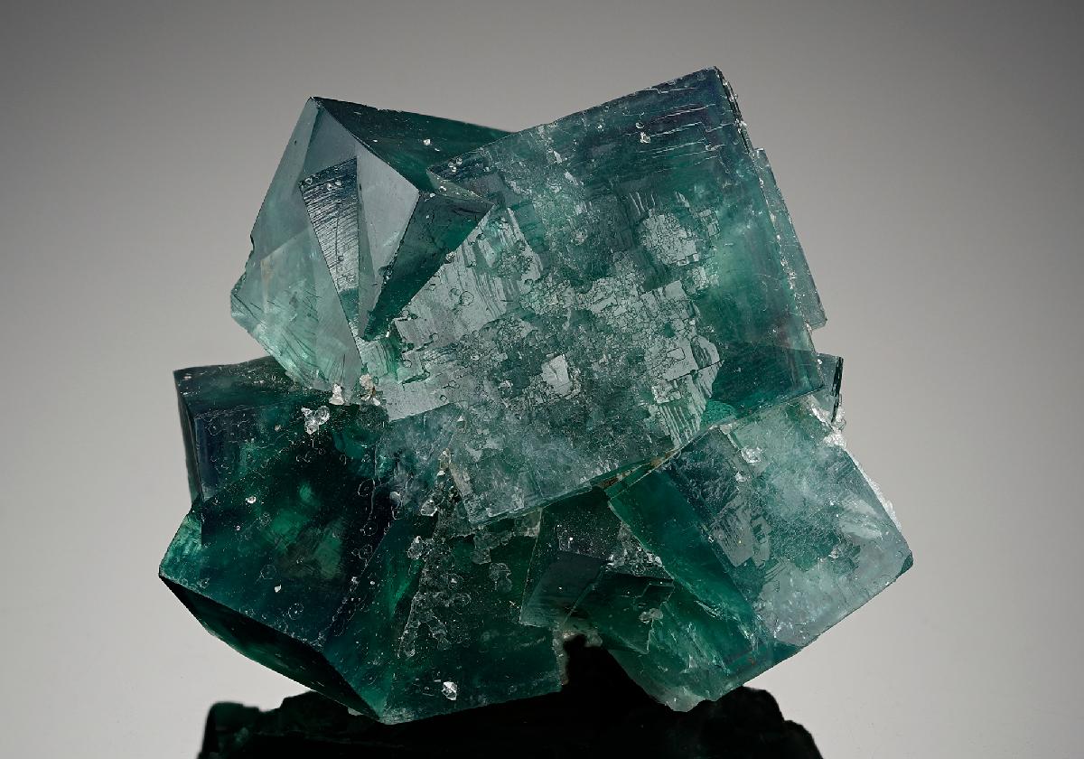CC13966 specimen image