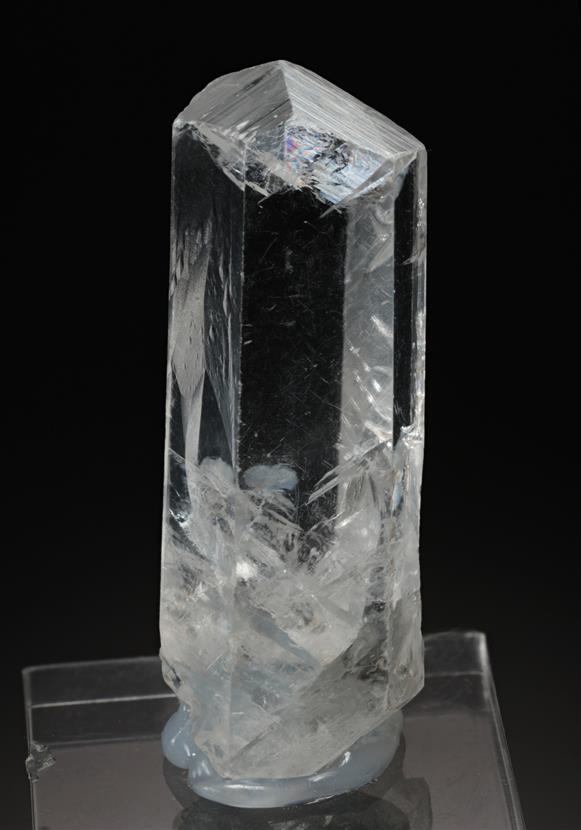 CC13977 specimen image