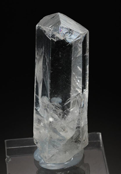 CC13977 specimen image
