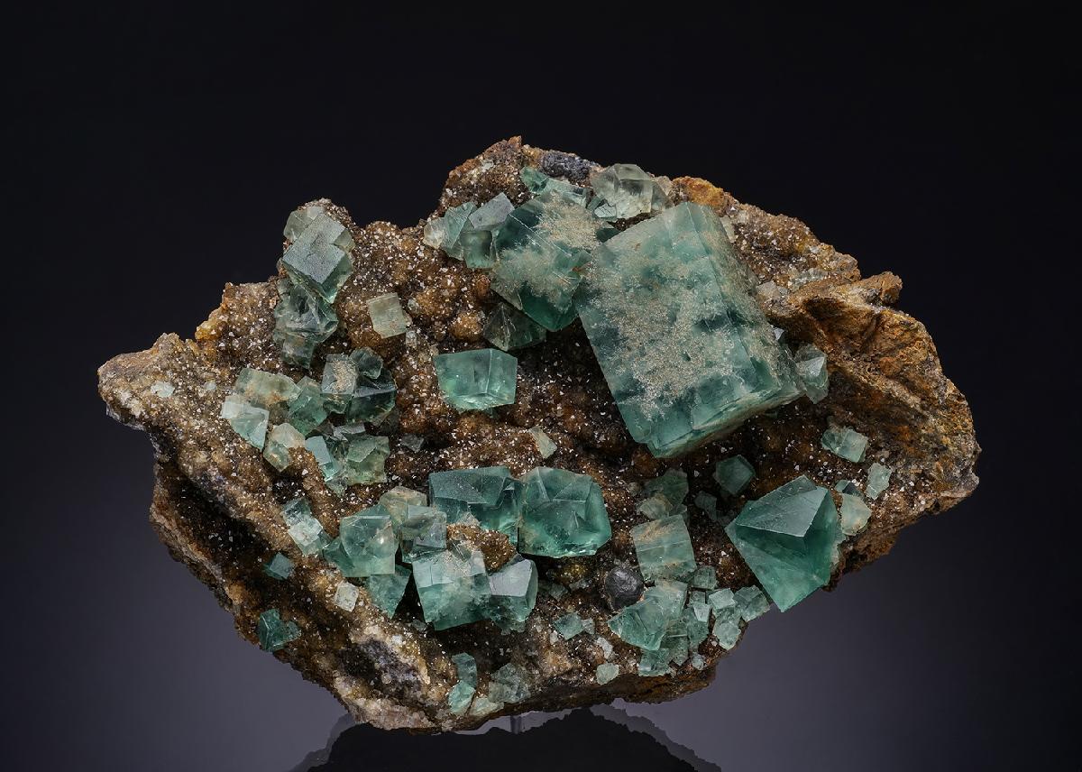 CC13982 specimen image