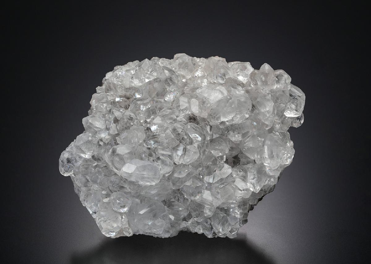 CC13996 specimen image