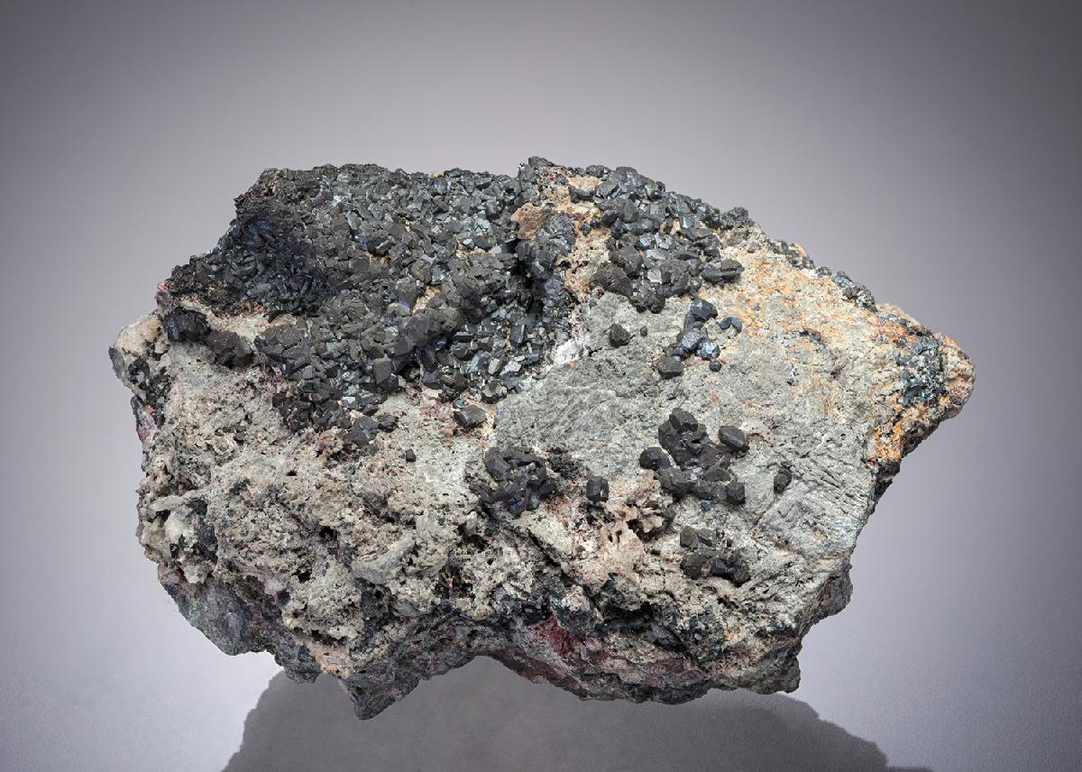 CC14017 specimen image