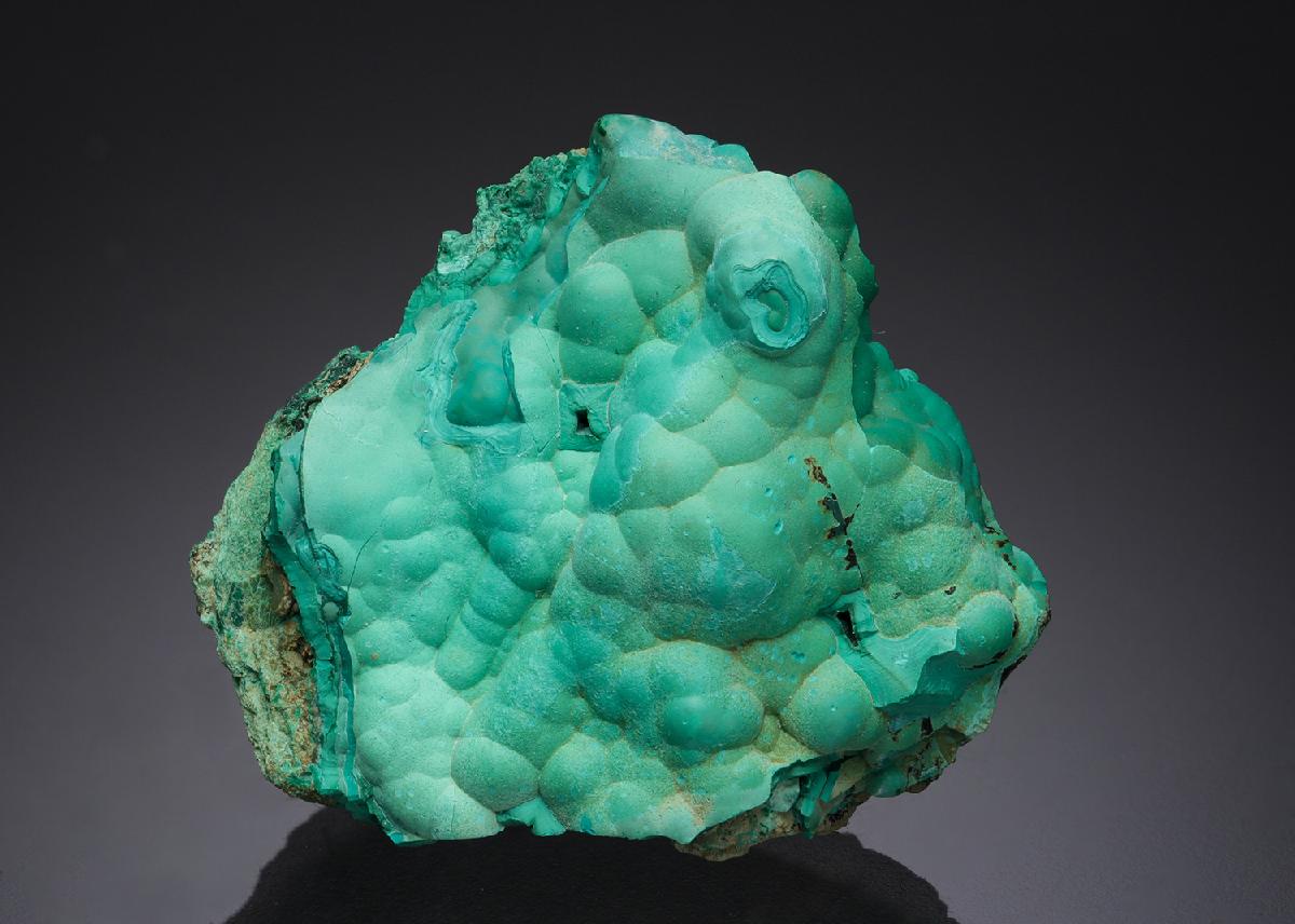 CC14061 specimen image
