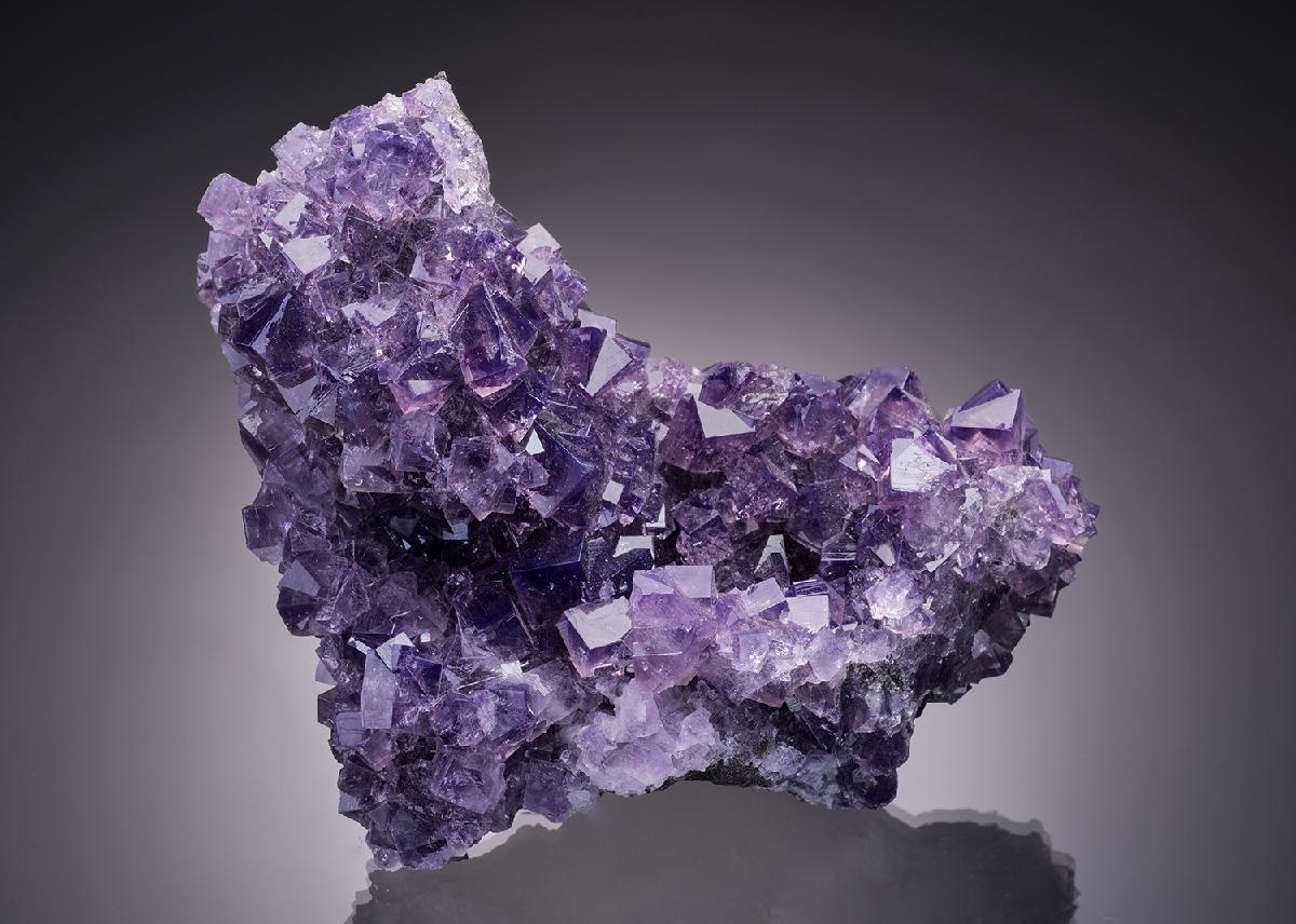 CC14082 specimen image