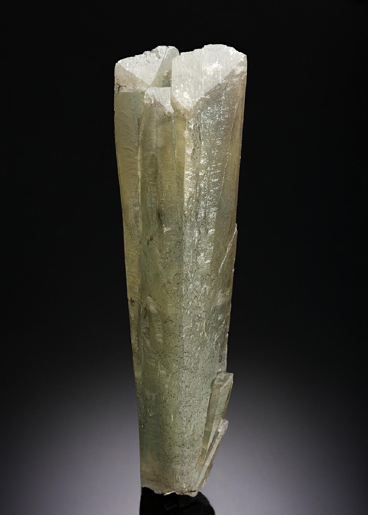 CC14083 specimen image