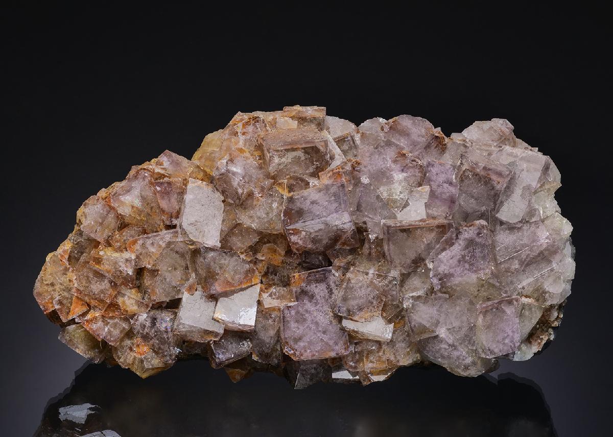 CC14087 specimen image