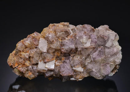 CC14087 specimen image