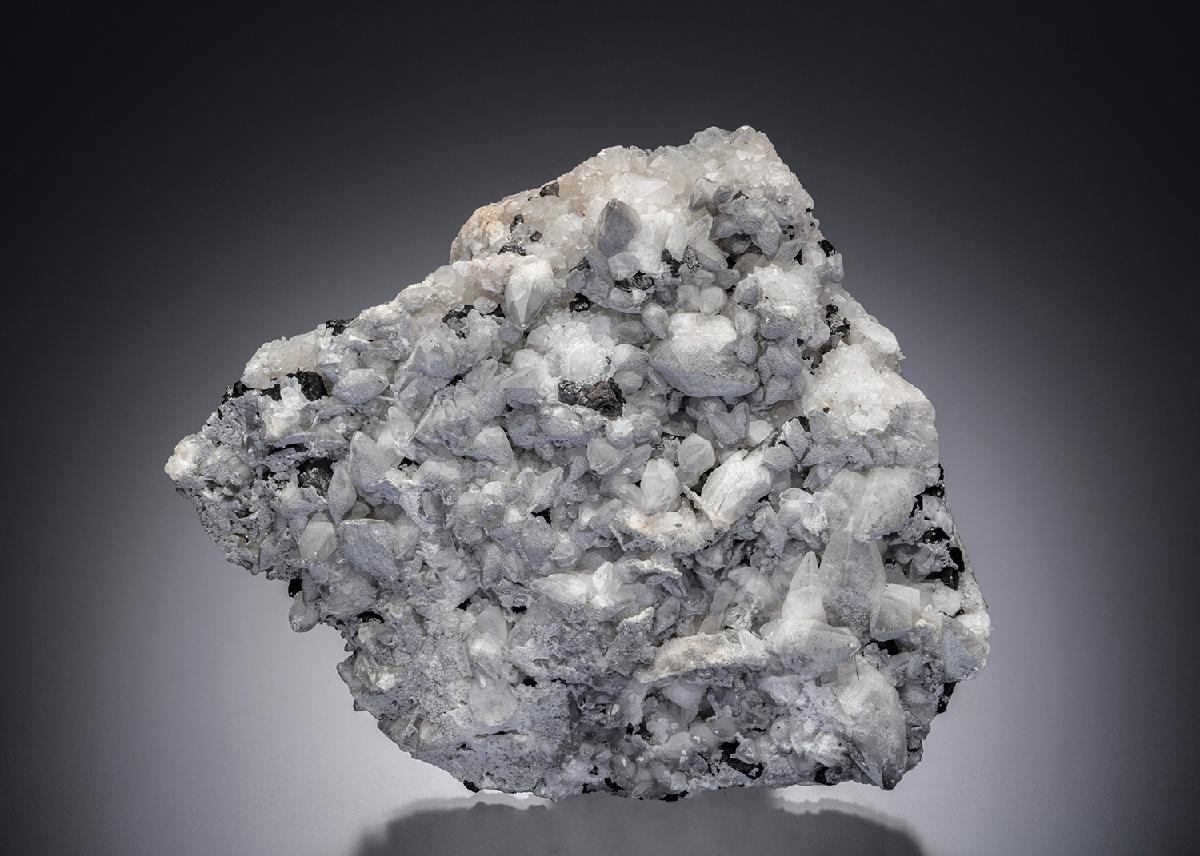CC14088 specimen image