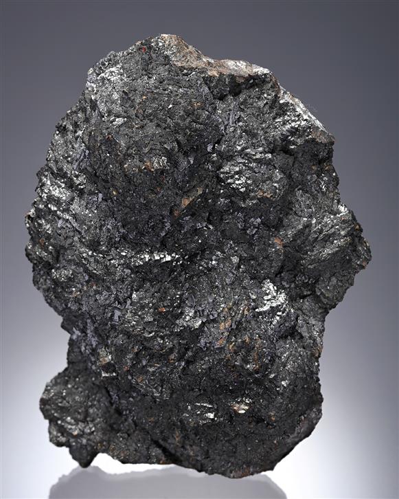 CC14092 specimen image