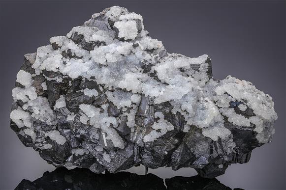 CC14099 specimen image