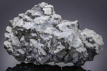 CC14099 specimen image