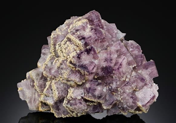 CC14112 specimen image