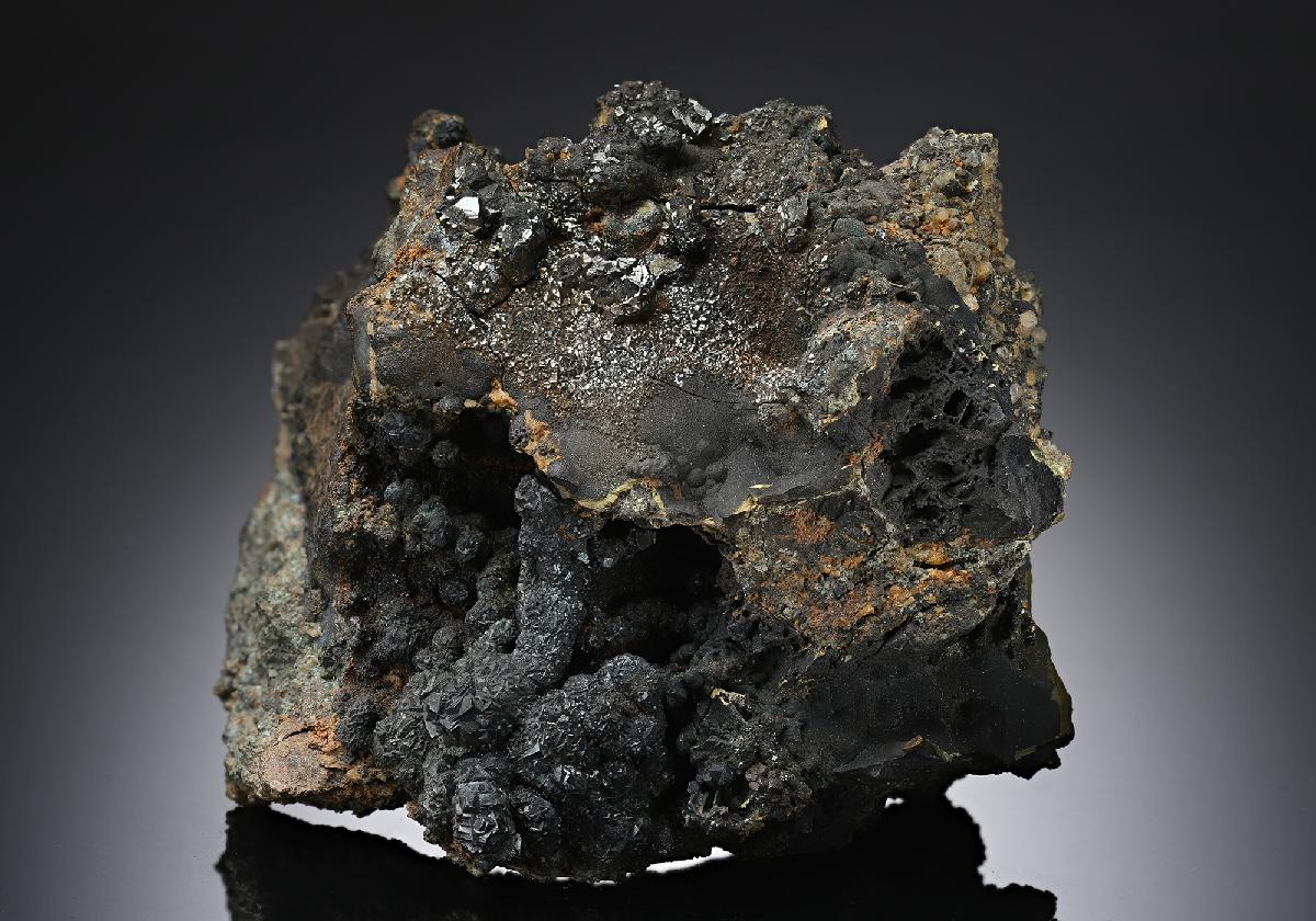 CC14117 specimen image