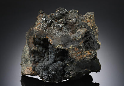 CC14117 specimen image