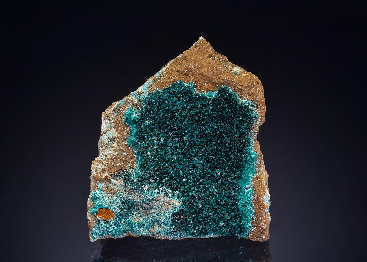 CC14124 specimen image