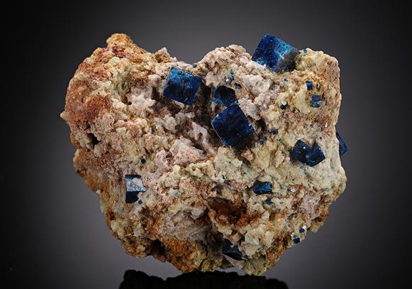 CC14157 specimen image