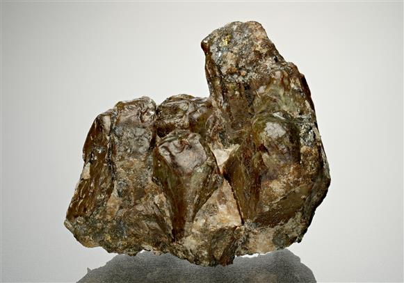 CC14166 specimen image