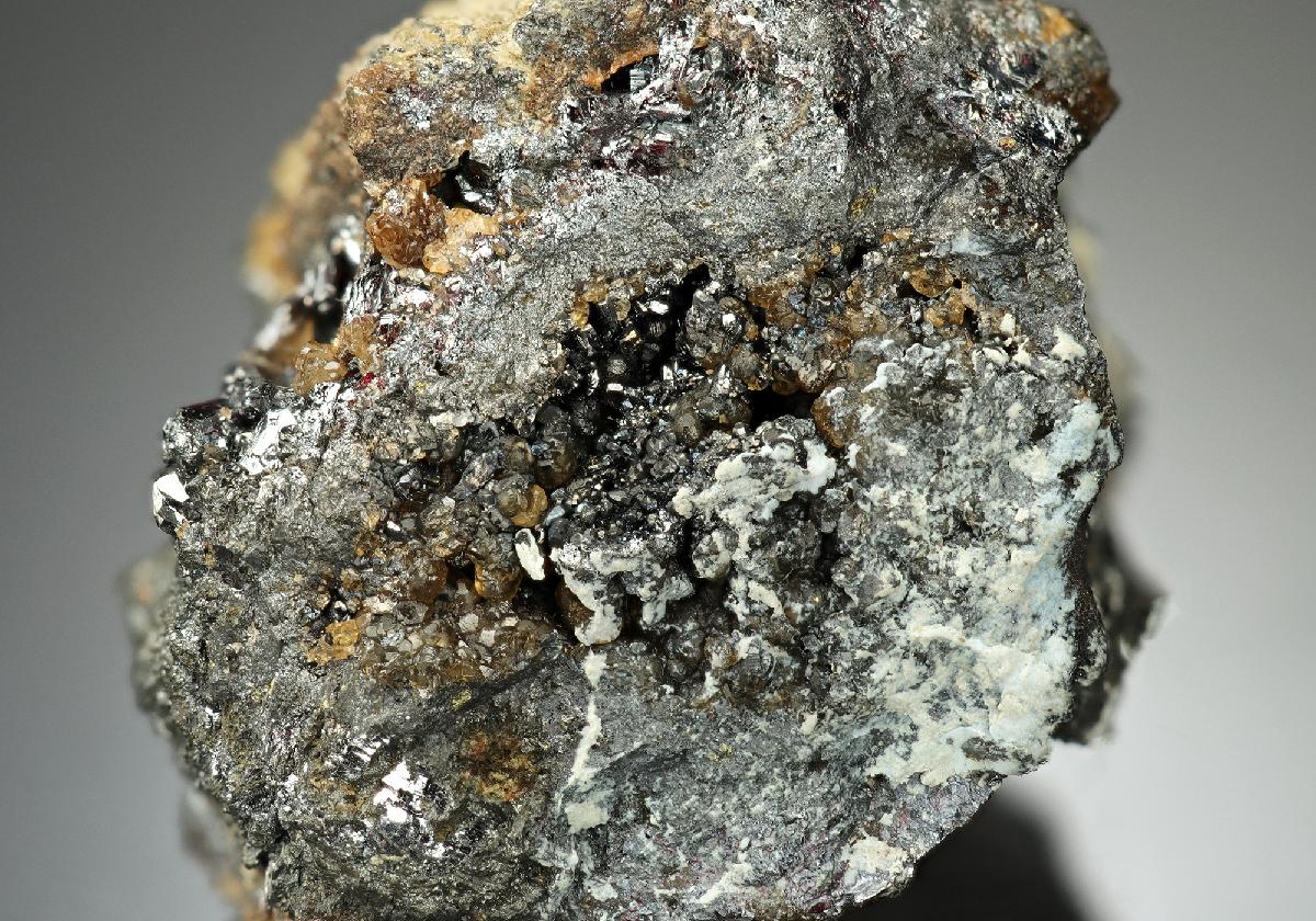 CC14167 specimen image