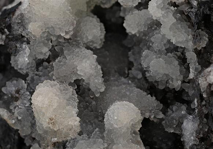 CC14170 specimen image