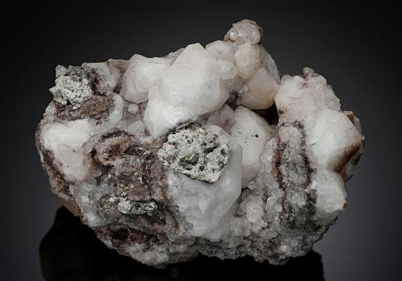 CC14175 specimen image