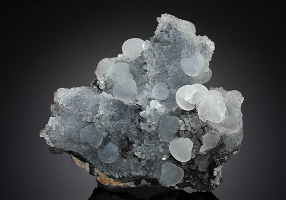 CC14188 specimen image