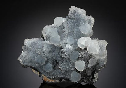 CC14188 specimen image