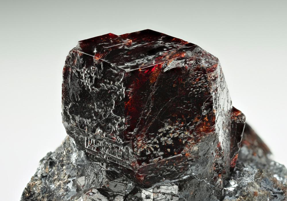 CC14191 specimen image