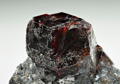 CC14191 specimen image