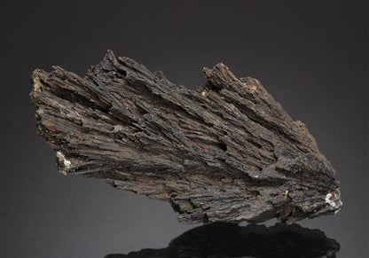 CC14192 specimen image