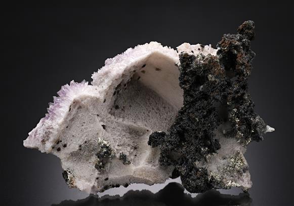 CC14194 specimen image