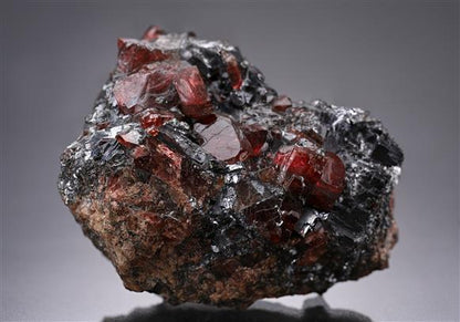 CC14195 specimen image