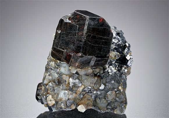 CC14201 specimen image