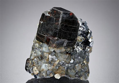 CC14201 specimen image