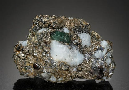 CC14202 specimen image