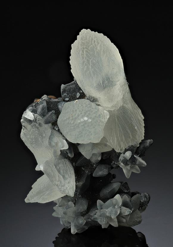 CC14210 specimen image