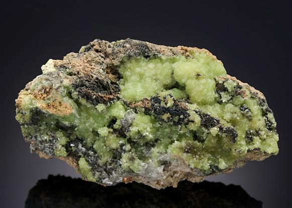 CC14214 specimen image