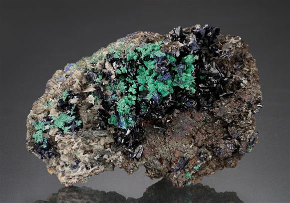 CC14221 specimen image