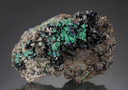 CC14221 specimen image