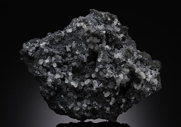CC14222 specimen image