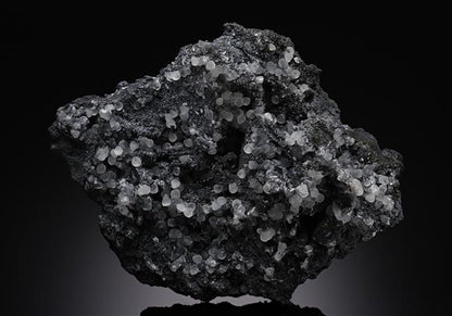 CC14222 specimen image